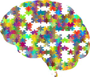 Why is our memory limited?